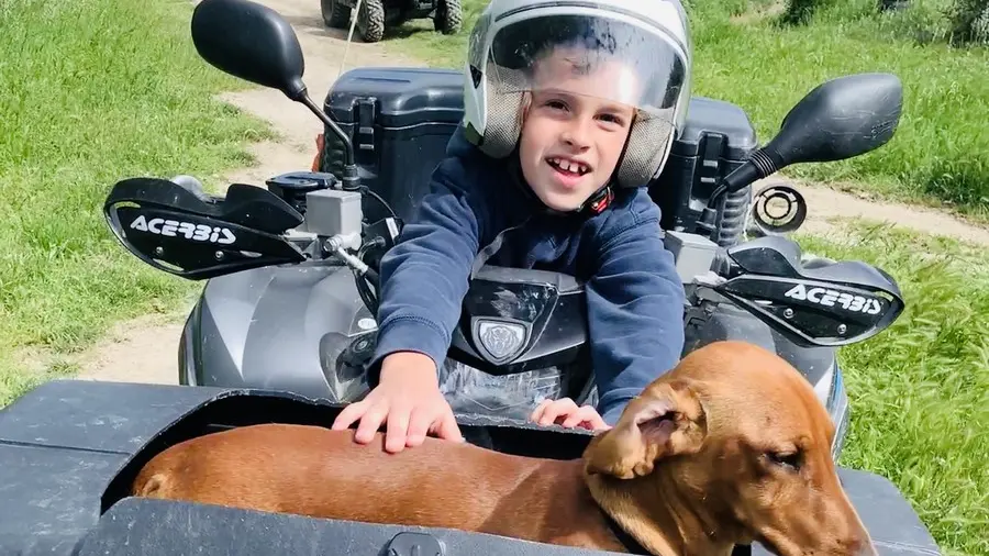 Provence Quad Location à Graveson