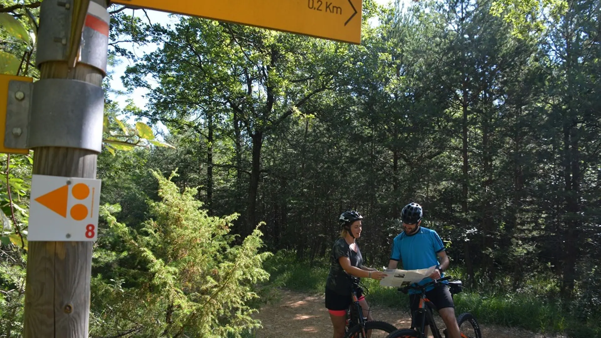 Le Bois du Défends à VTT