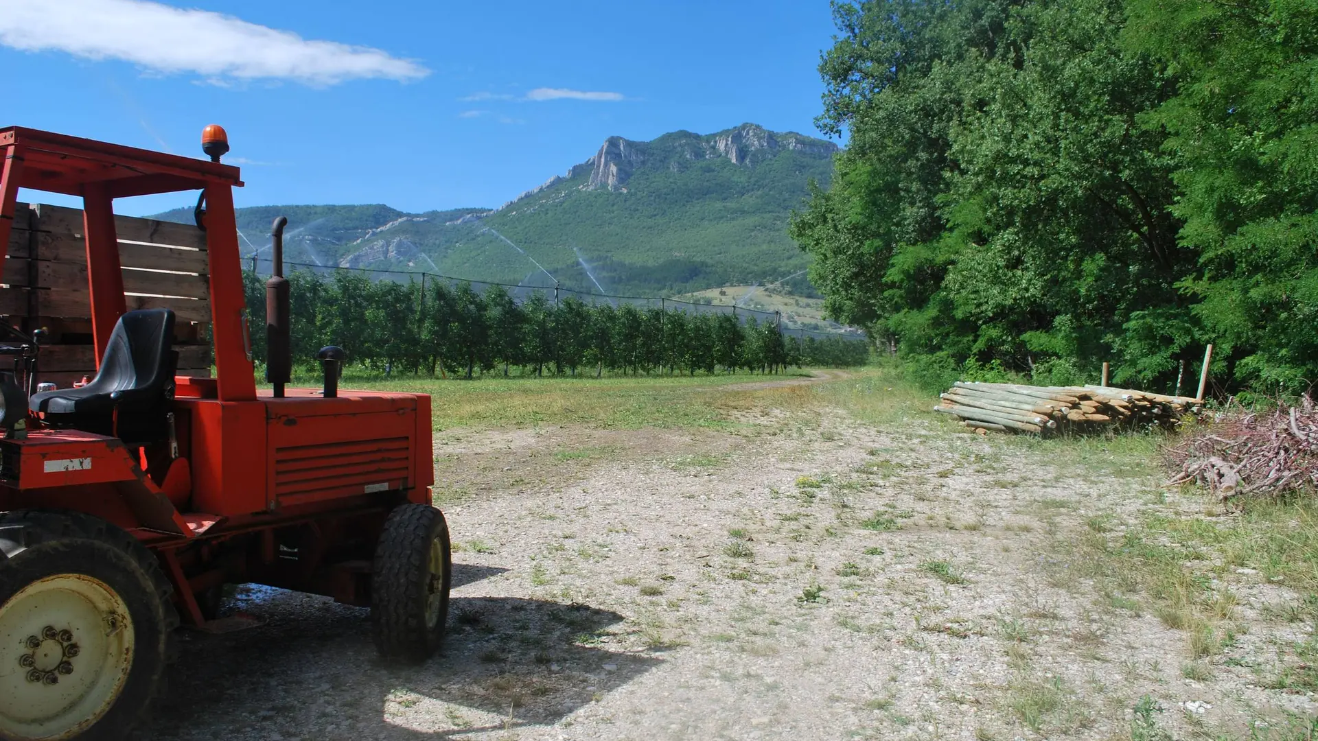 Les vergers de Ribiers