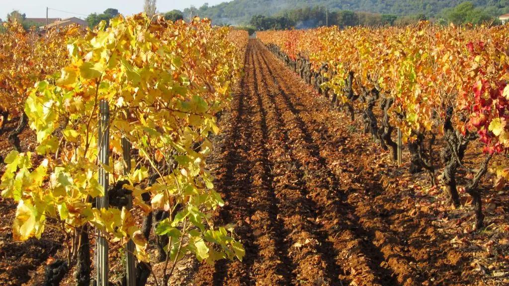 Les domaines viticoles en Méditerranée Porte des Maures