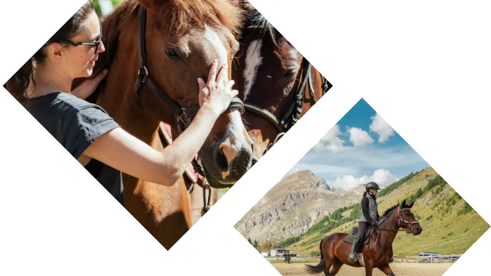 Photo paysage - Autour du poney