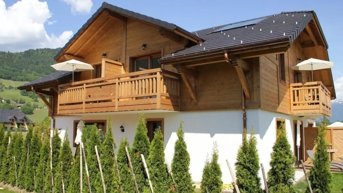 Les Soldanelles des Alpes
