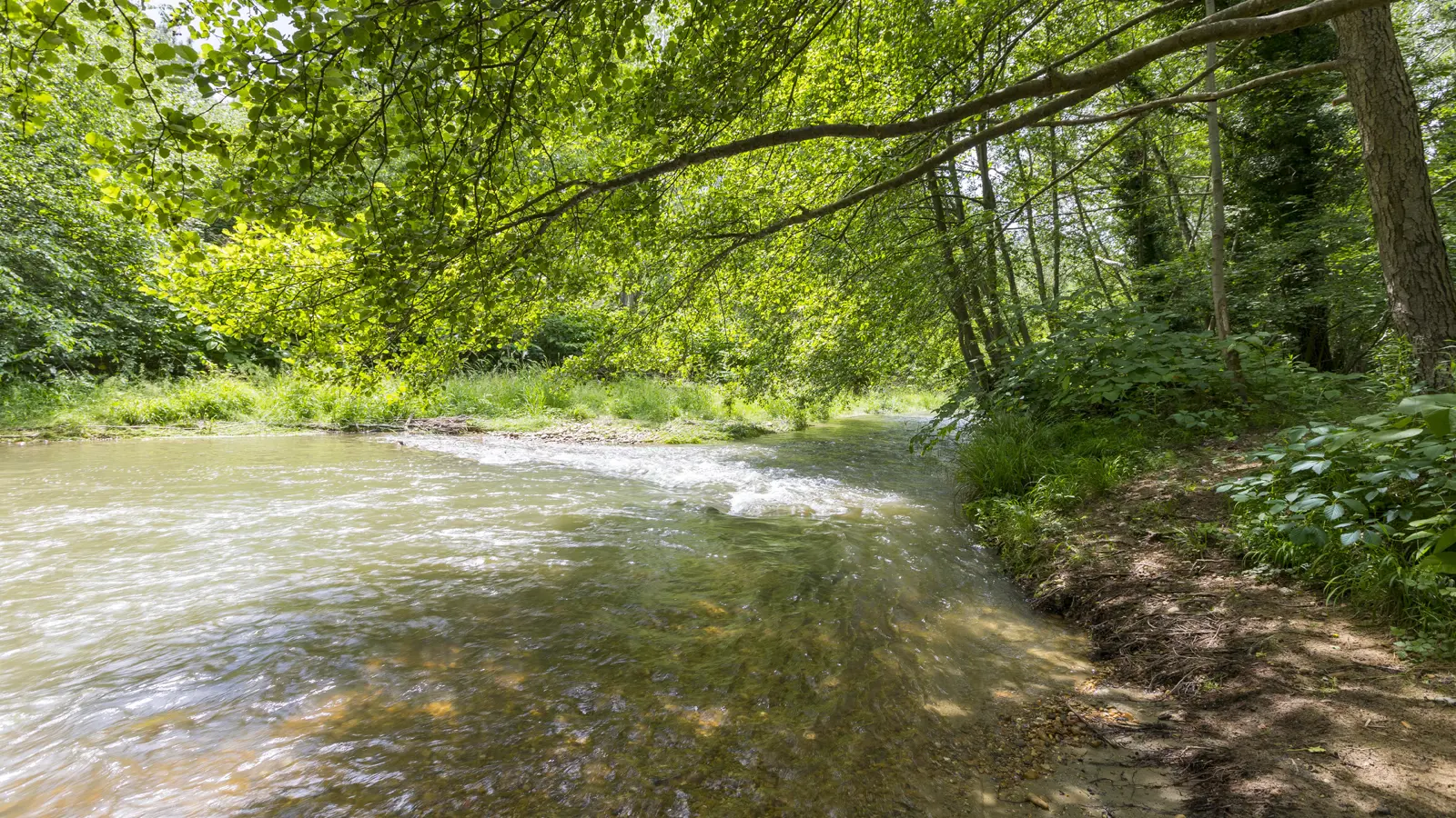 La rivière des galets au bord de la Rivière Galaure