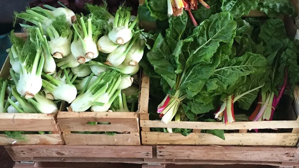 Quelques légumes d'automne