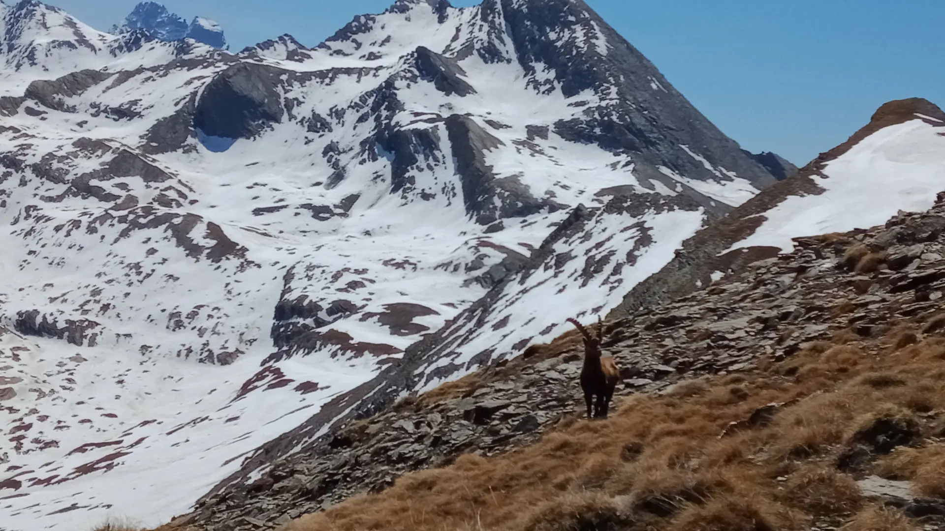 Pain de Sucre début de saison