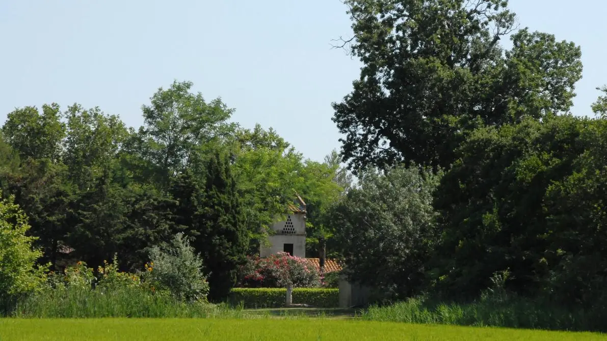 LE PIGEONNIER DANS LA VERDURE