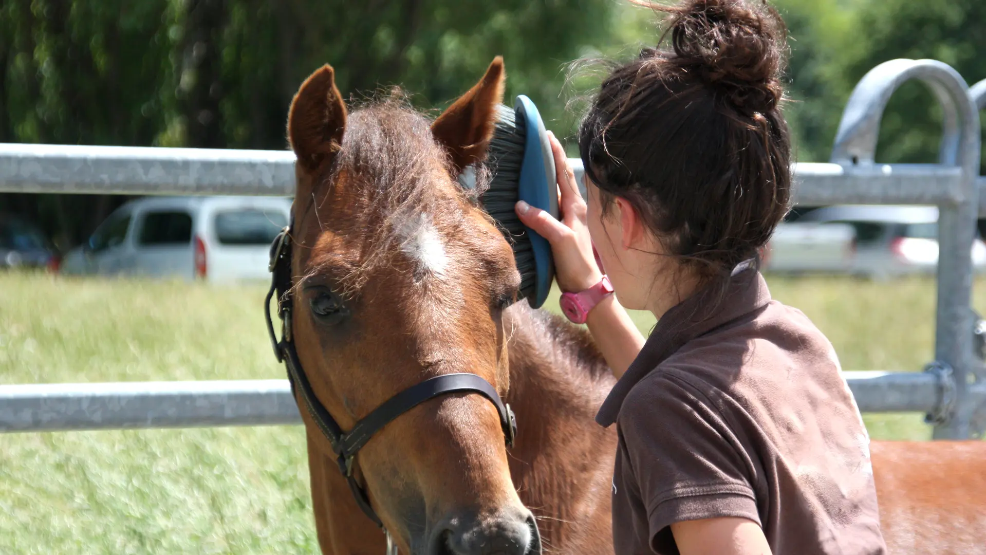 centre équestre cheval initiation rando