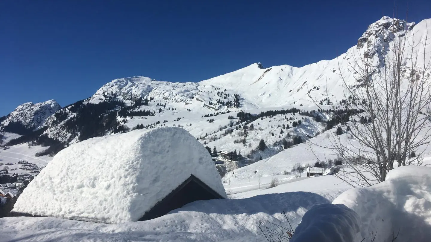 Vue depuis la terrasse