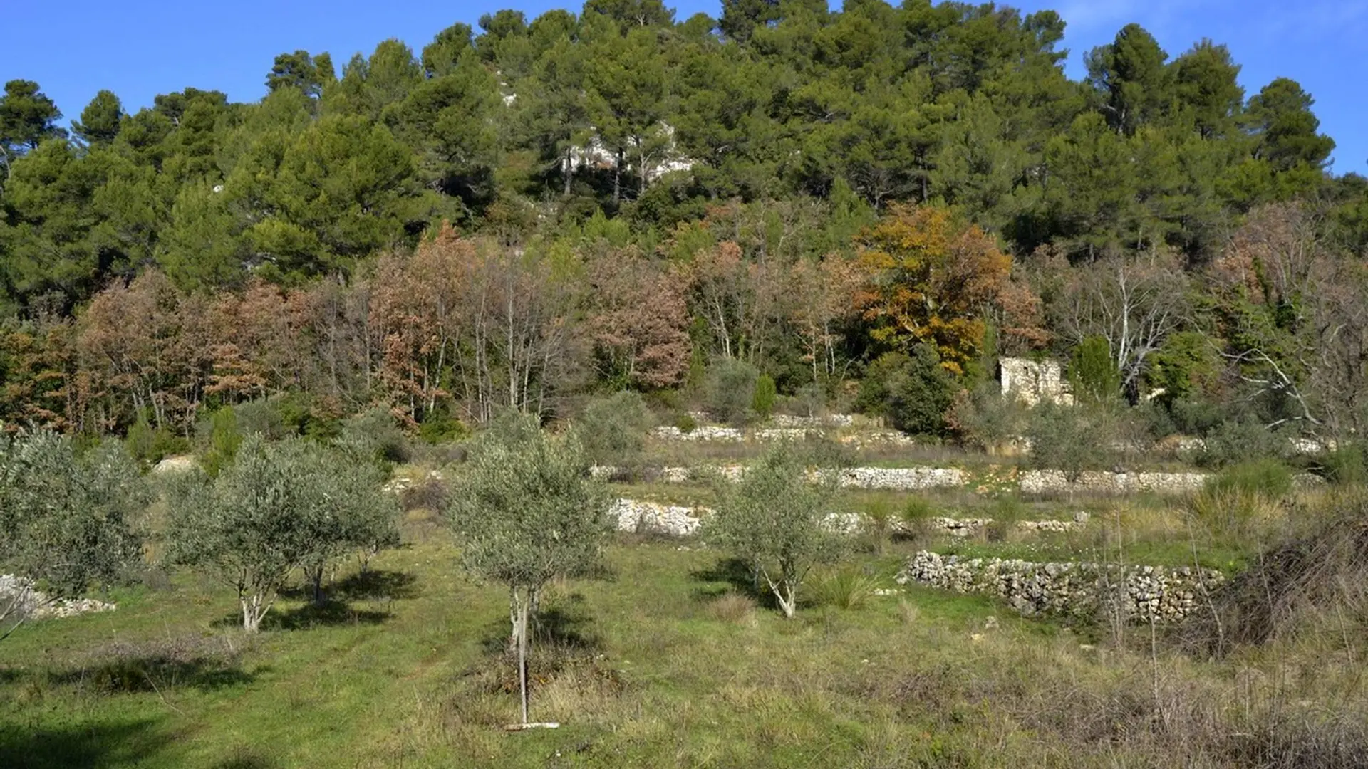 L'ancienne ferme de Mantelette