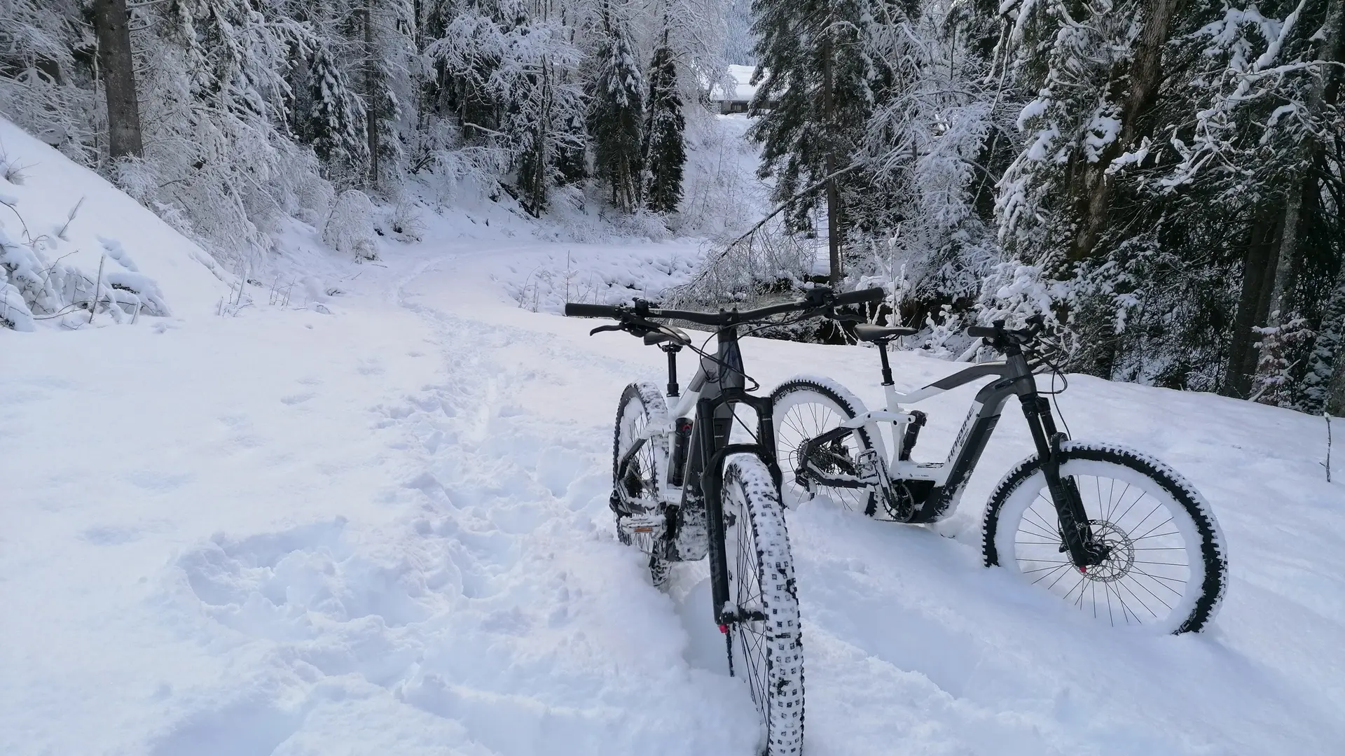 Vélo électrique Vélo Dranse à Abondance