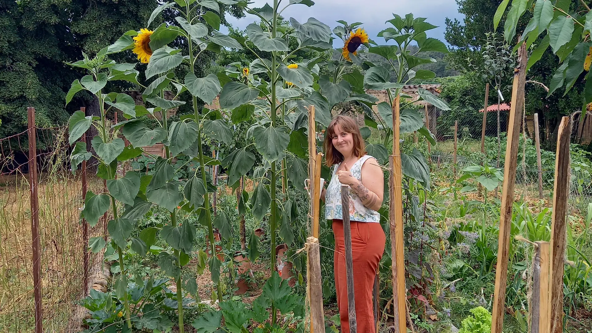 Jardin