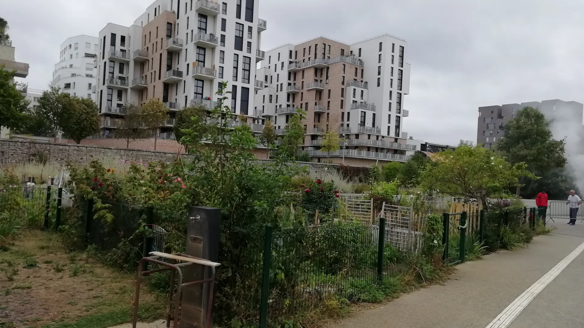 Jardins familiaux dans le Grand Parc - vue sur les Docks