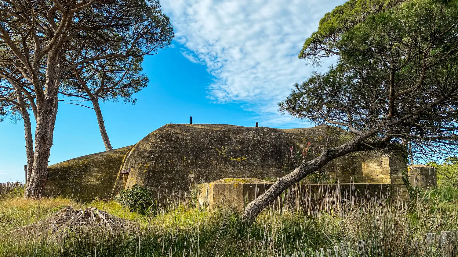 Visite guidée avec Cyril Barthelemy, guide conférencier à La Londe les Maures