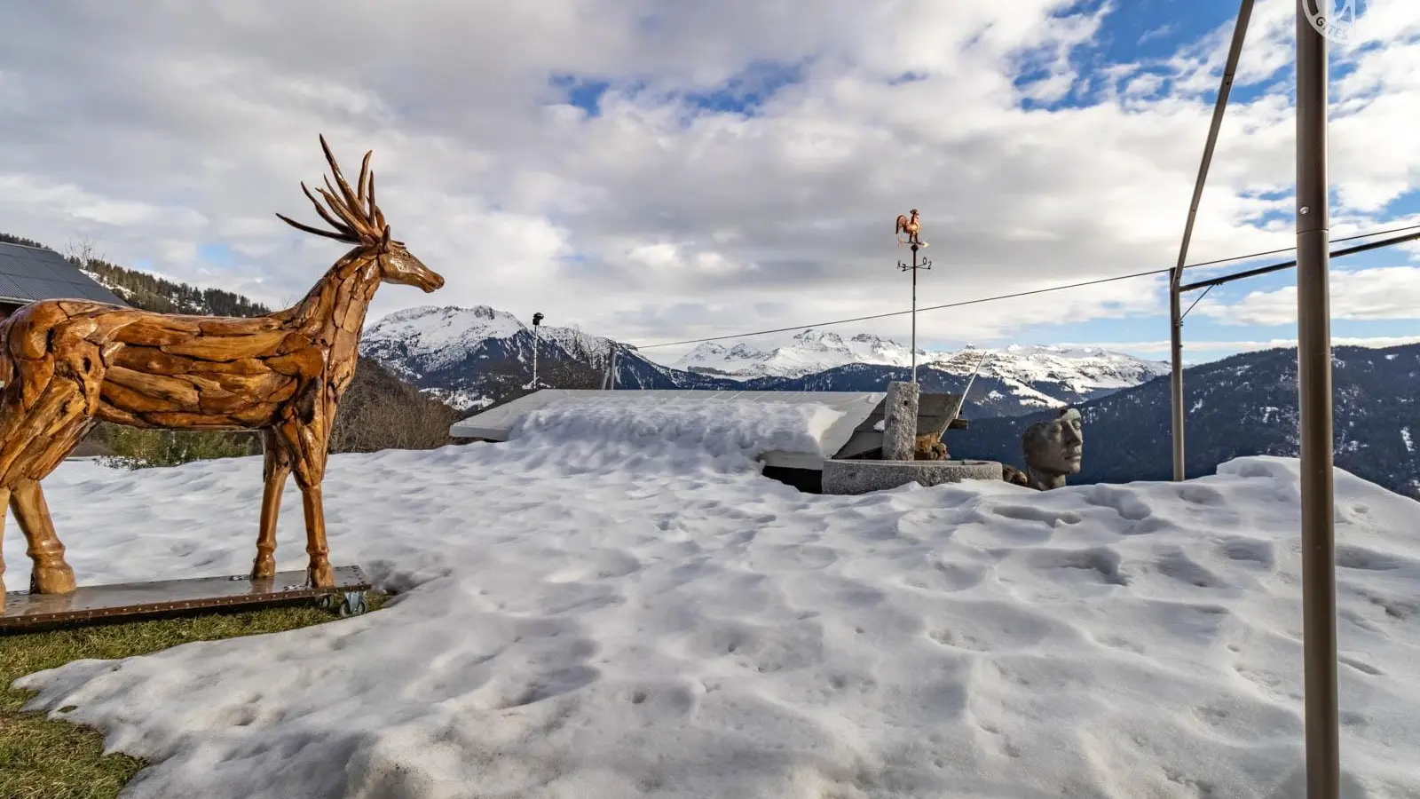 vue jardin hiver