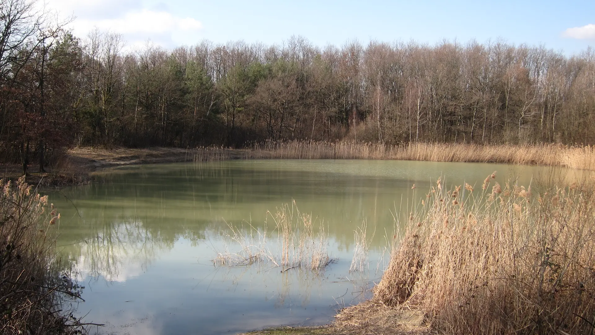 Etang de Colovrex
