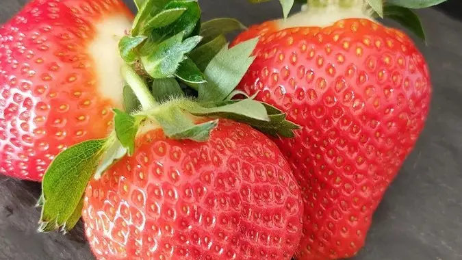 Producteur Bourgier & fils à Saint-Rémy-de-Provence