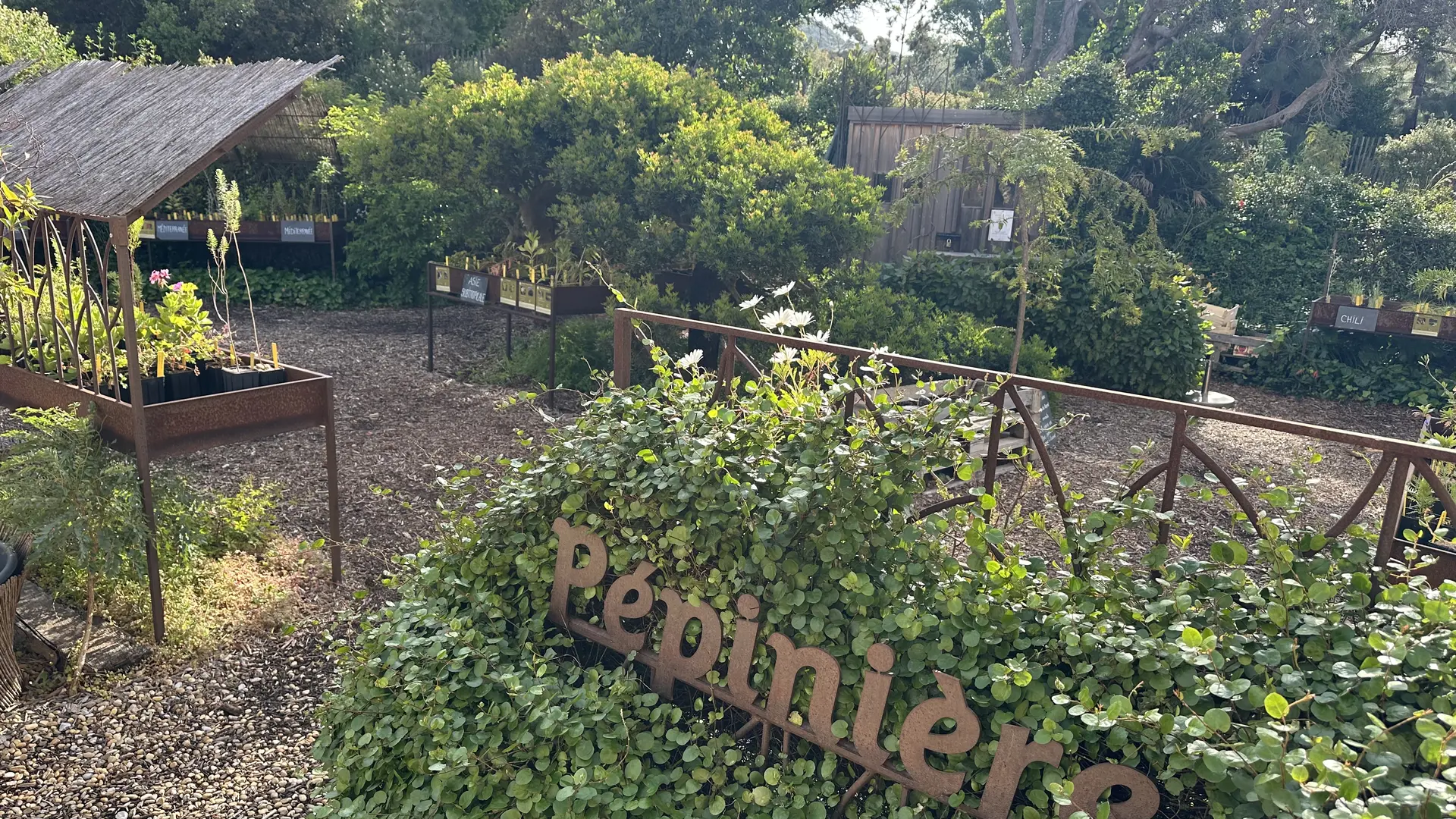 La pépinière du Domaine du Rayol_Rayol-Canadel sur Mer