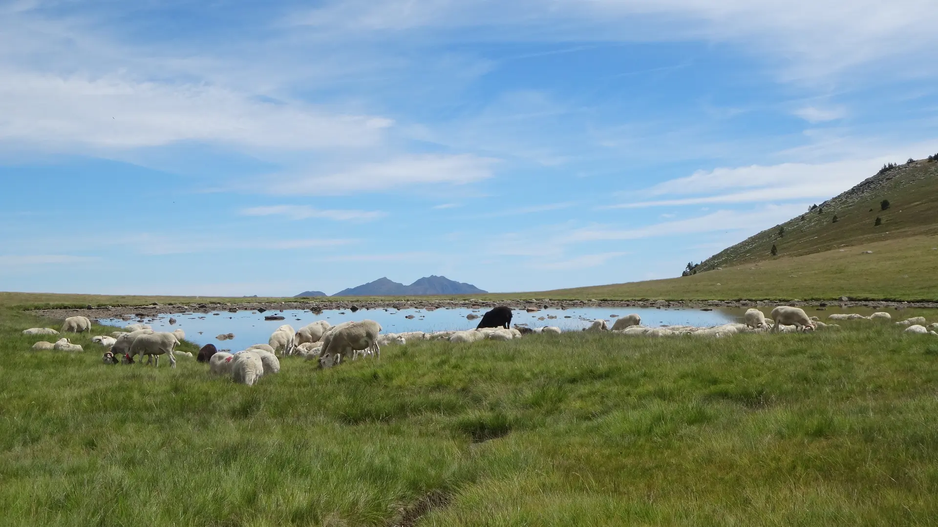 mares d'altitude massif Aston