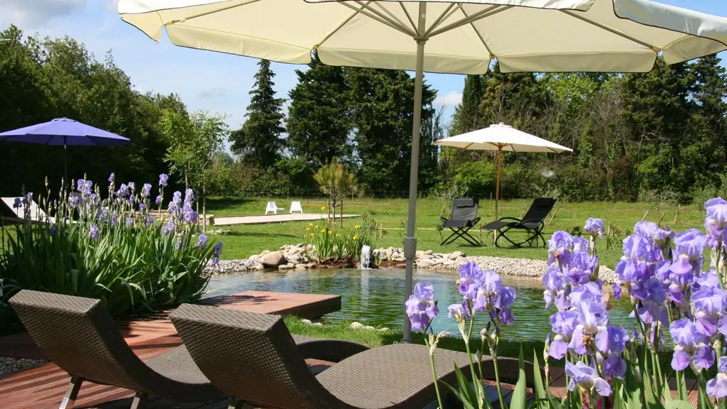 Collection Couleur Lavande