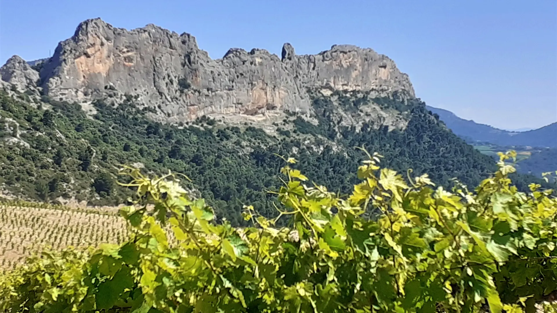 Les Dentelles de Montmirail