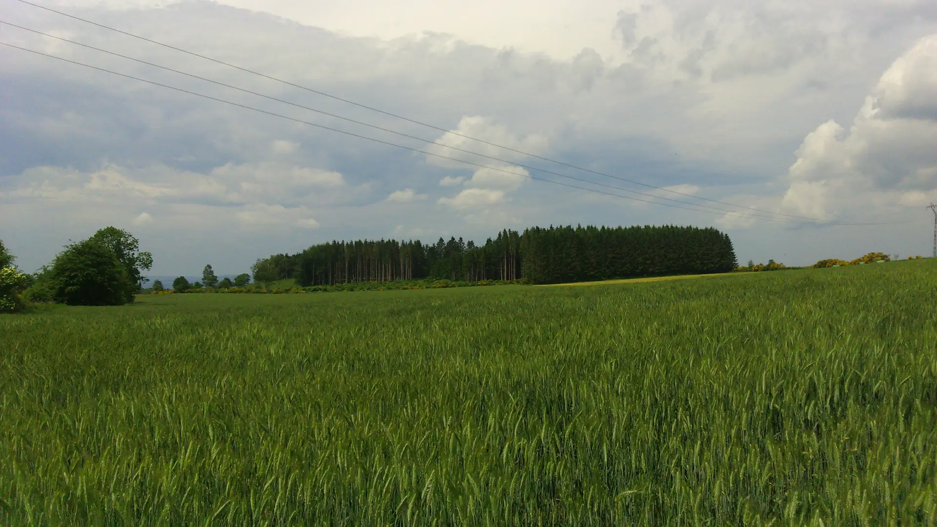 Randonnée VTT La Rand'Ours