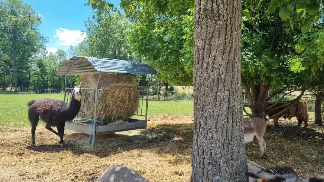 La mini-ferme du moulin de la petite Corse