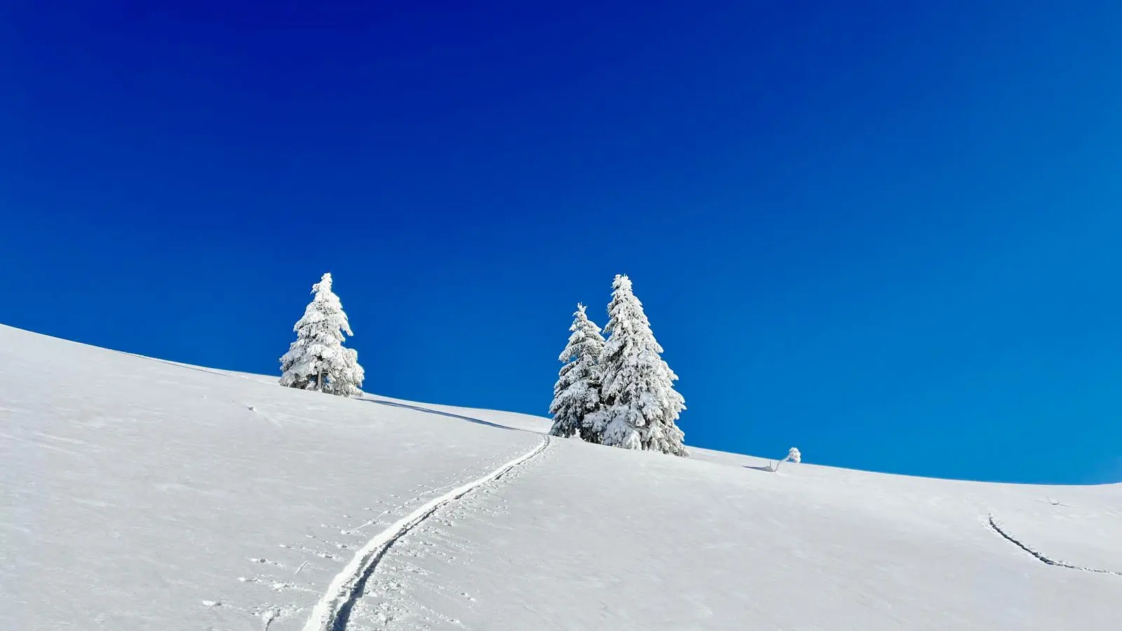 Col de cou en Hiver_Morzine