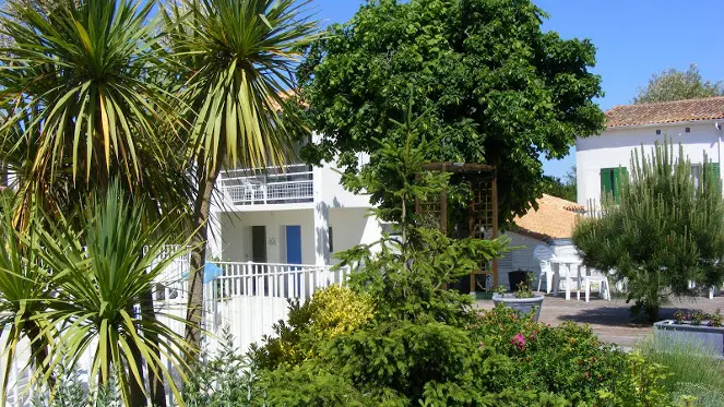 Extérieur végétalisé