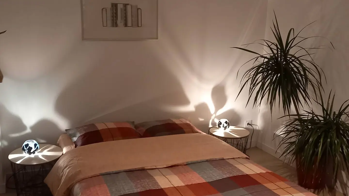 Chambre 1