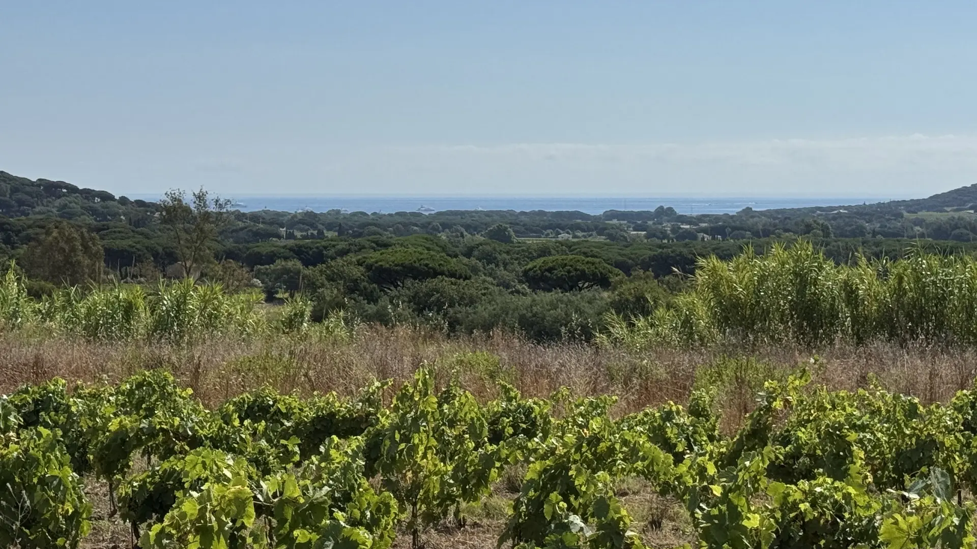 Clos des B