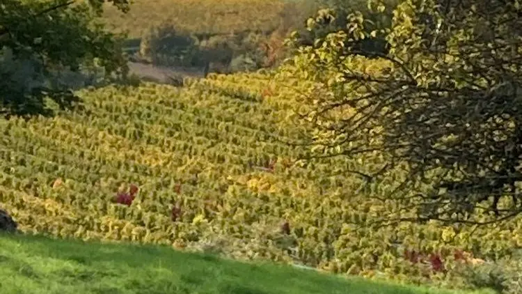 à quelques pas dans Marignieu