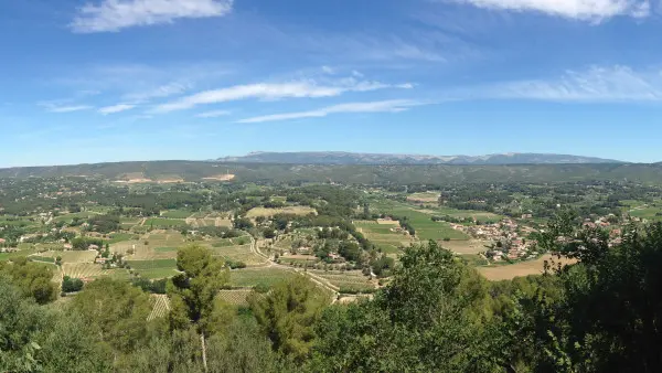 Vignobles de Bandol, Cassis, le Castellet