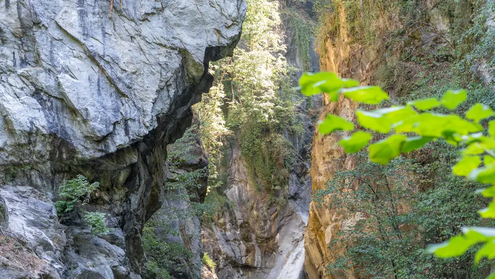 Via Ferrata Parc Thermal St Gervais