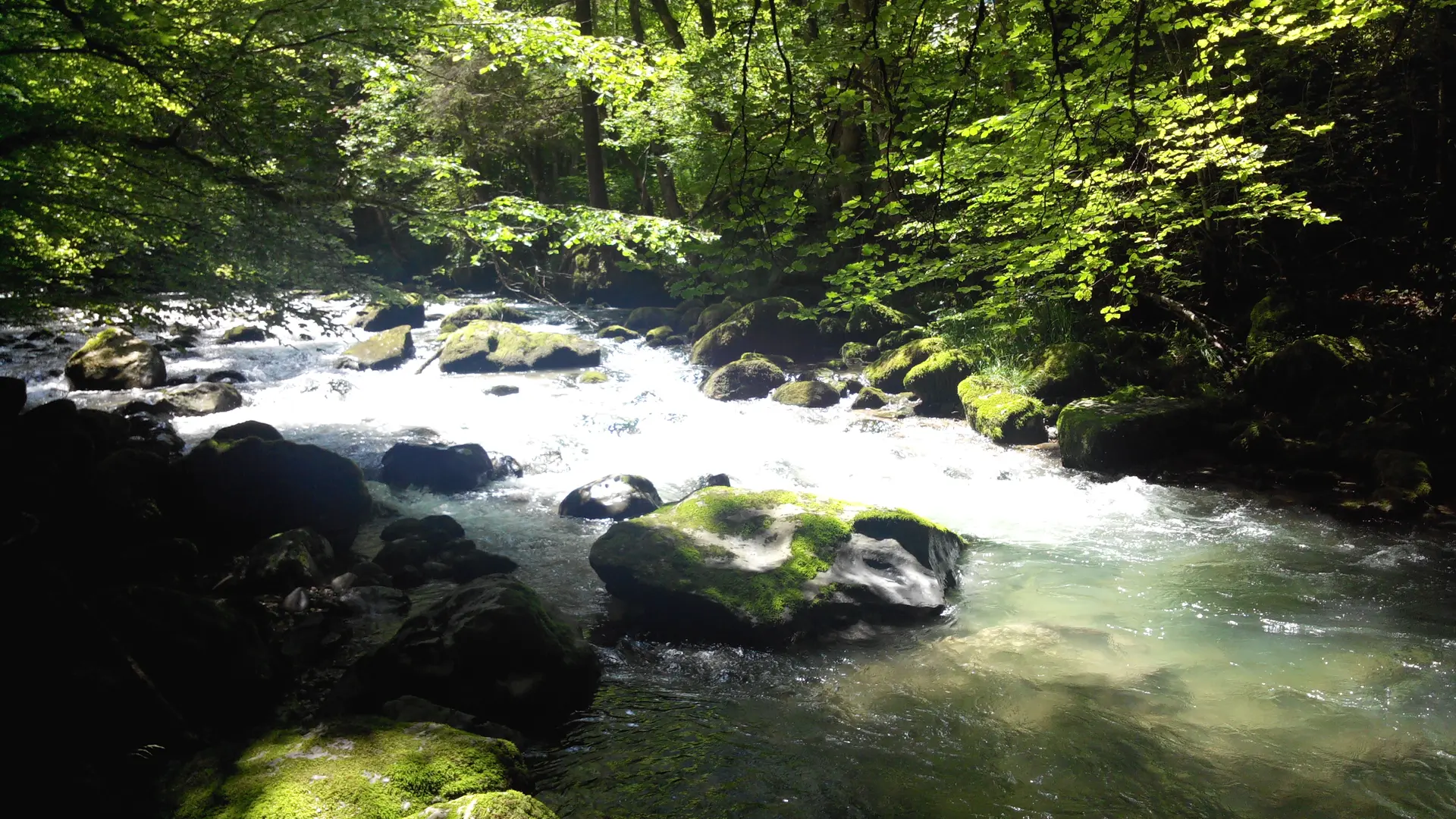 Rivière Le Brevon