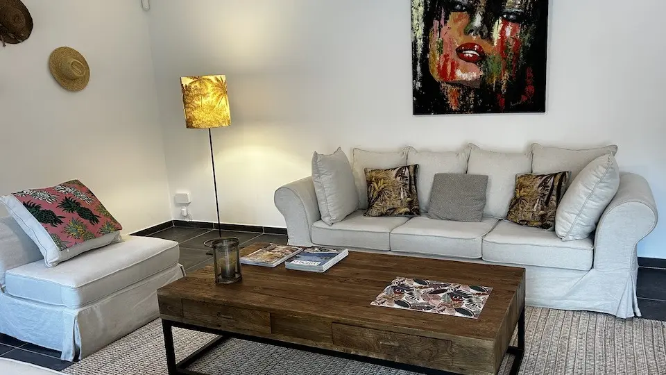 Mas Saint Antoine_L'Isle-sur-la-Sorgue salon blanc