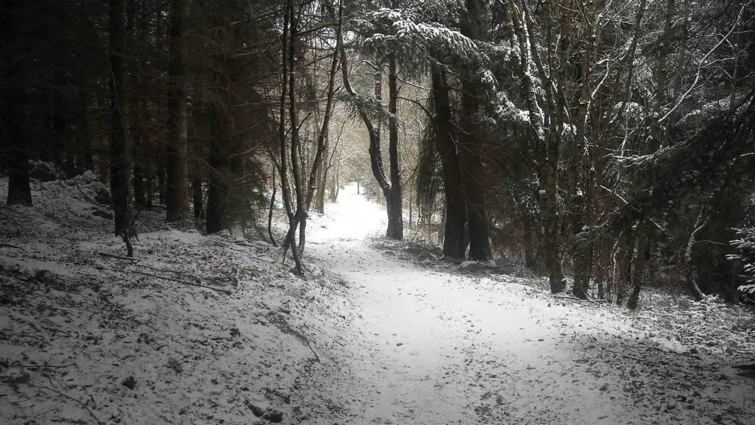 Vue d'hiver