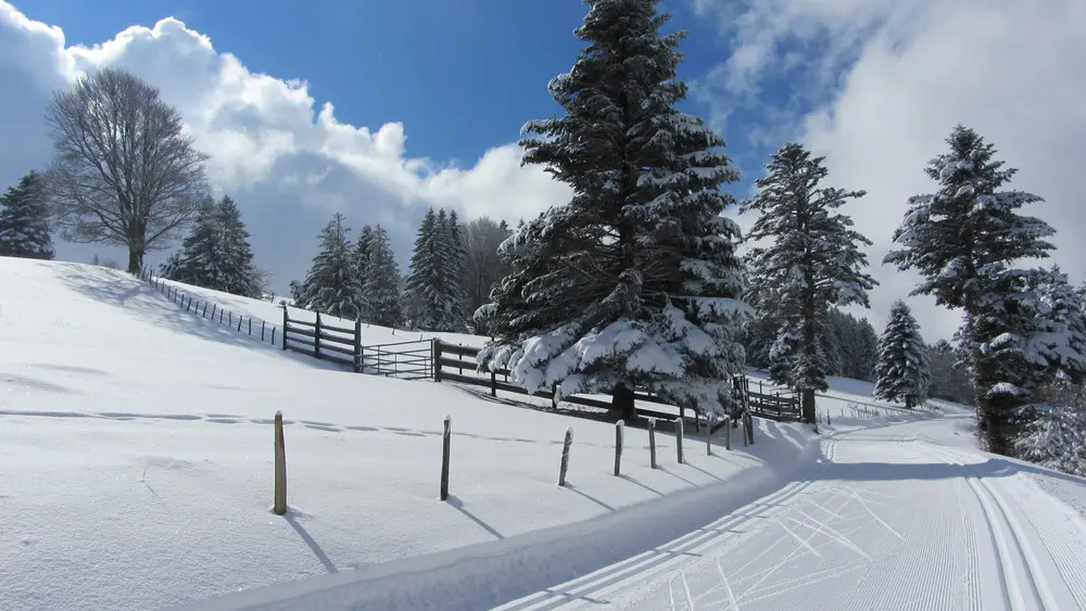 piste ski de fond saleve