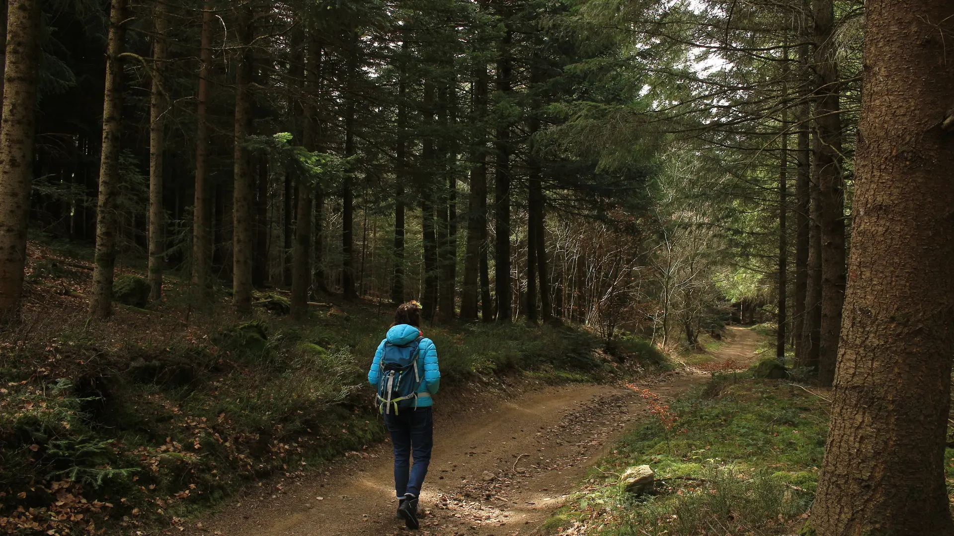 St-Hilaire-Cusson-la Valmitte