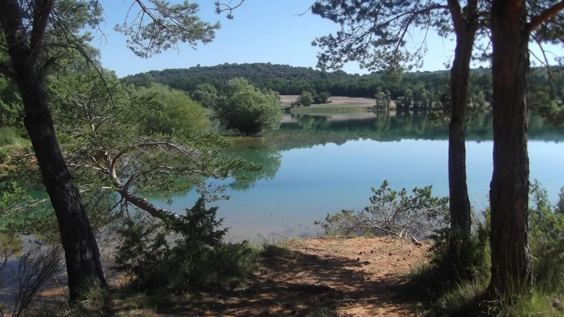 Un matin calme au lac