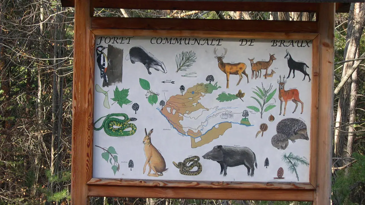 Sentier Les portes de la châtaigneraie