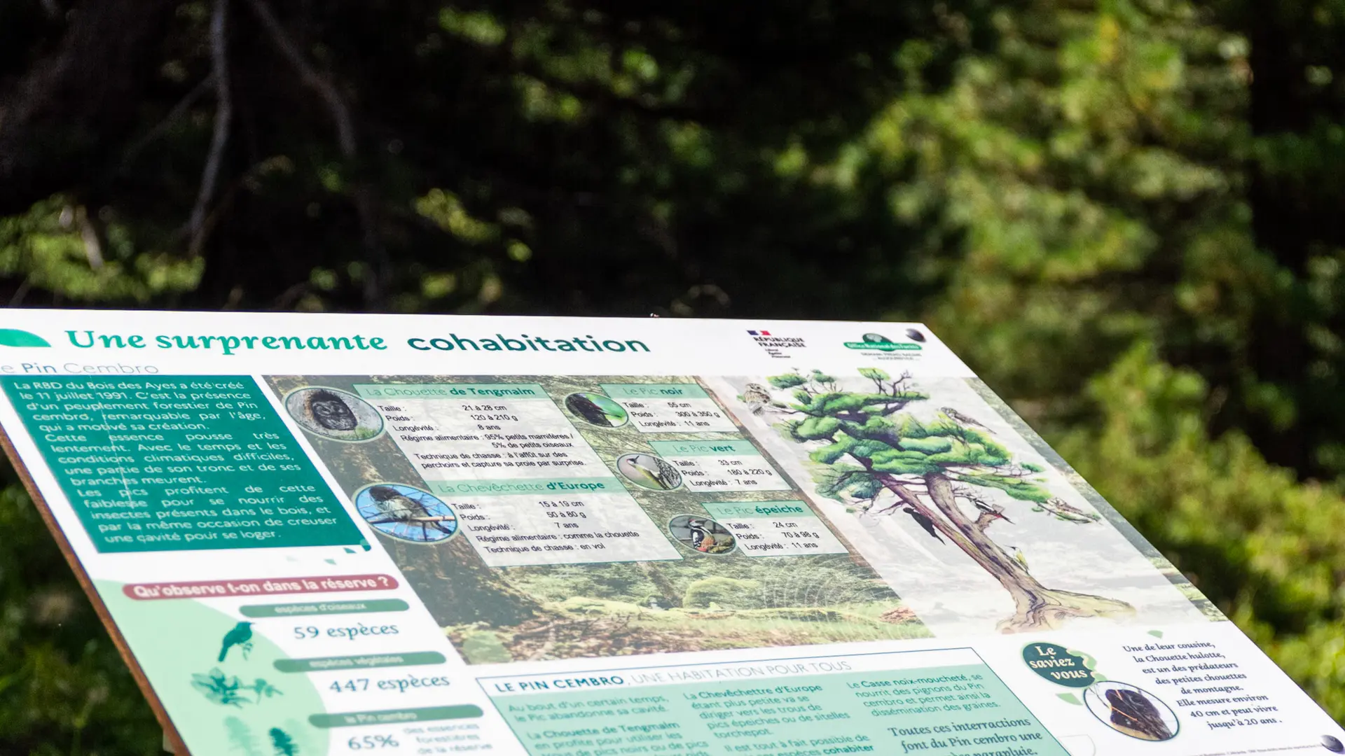 Panneau pédagodique sur le sentier pédagogique de la Taure