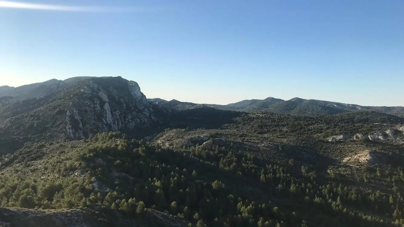 Les Alpilles, espace de libertÃ©