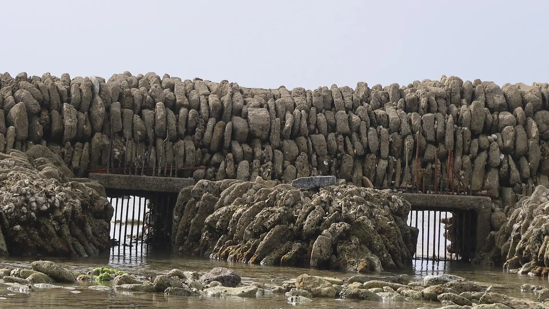 Avec des « couis » pour évacuer l'eau et des grilles pour retenir le poisson