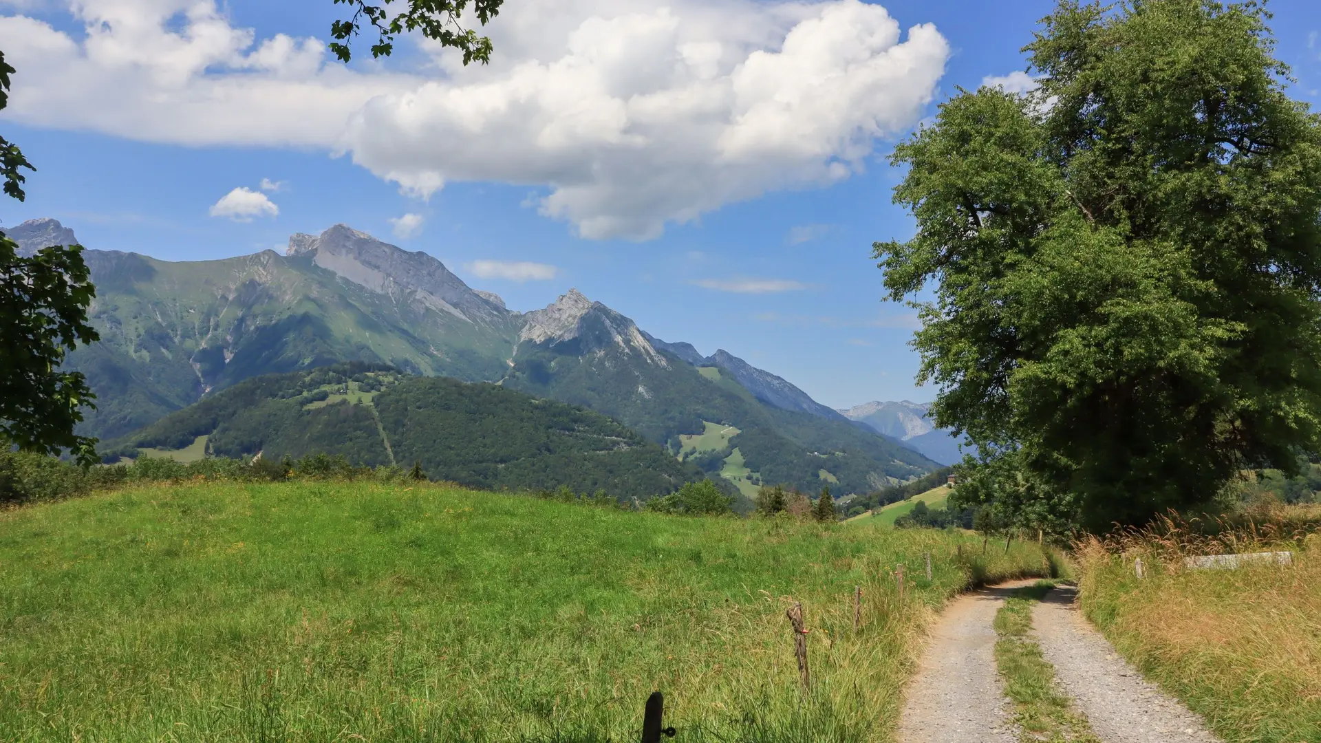 sentier