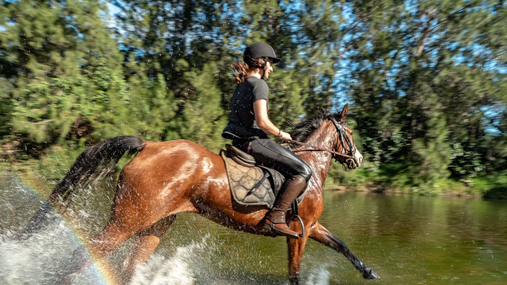 Horseback riding - Lucky Club