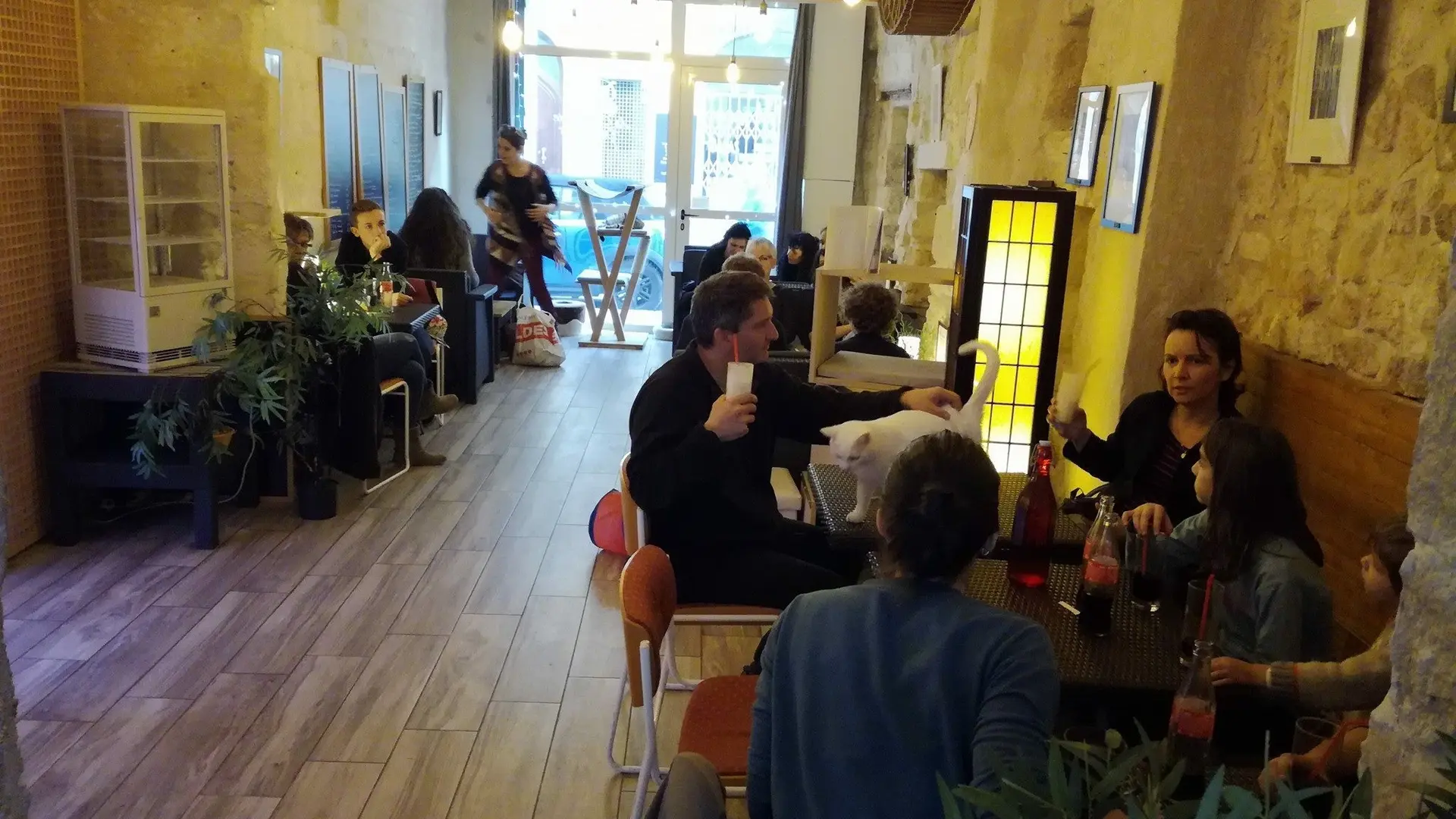 La Compagnie des Chats