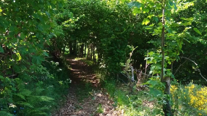 Randonnées au départ du gîte.