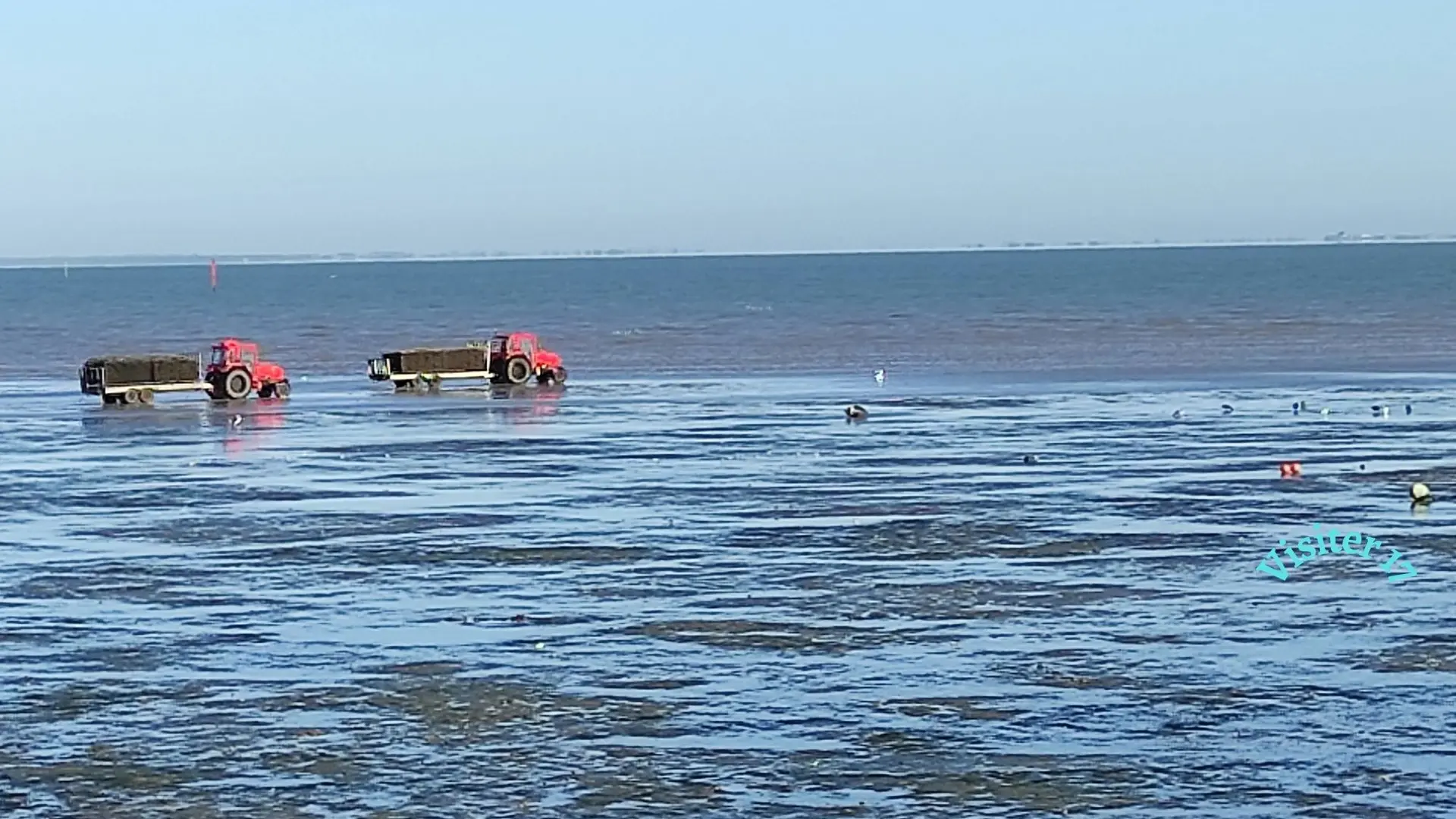 Les paysans de la mer