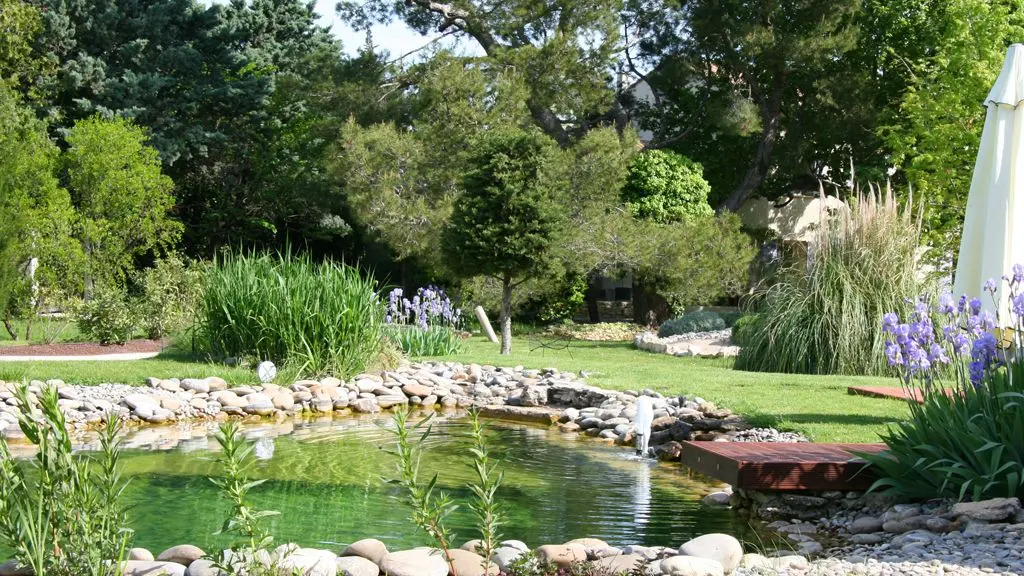 Collection Couleur Lavande