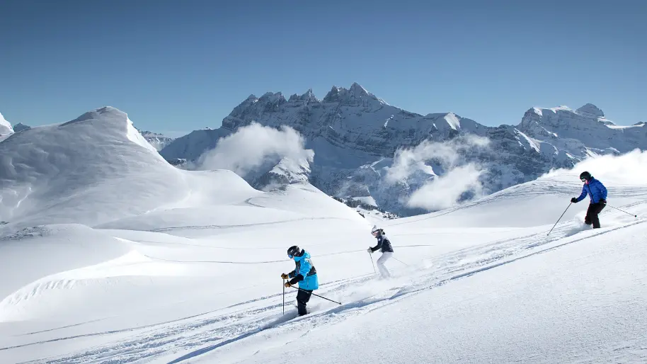 Descente hors piste dans la poudreuse à Avoriaz avec vue sur les Dents du Midi